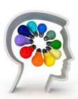 brain